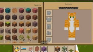 я снимаю видео про Minecraft это кошка