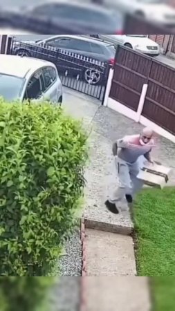 Нападение собак #shorts #short #video #reels #рилс #собака #юмор  #курьер #мем #развлечение #милота