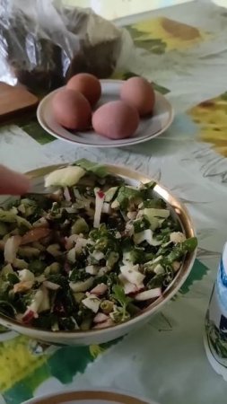 Интеллигенция так не ест! Окрошка с колбасой, это тоже что пельмени под тонной кетченеза, фу фу фу