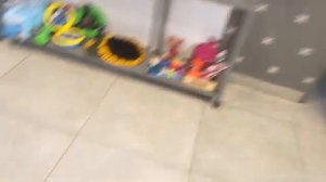 Собаки сходили в салон красоты и теперь вернулись домой в качестве звезд.