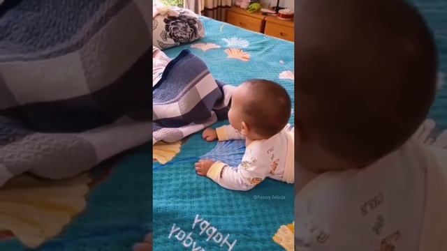 Животные приколы и не только