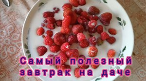САМЫЙ ПОЛЕЗНЫЙ ЗАВТРАК НА ДАЧЕ