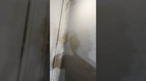 учимся клеить обои