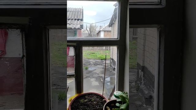 Спасаемся как можем в этот пасмурный день #мамаидочь#лерахаас#еда#завтрак