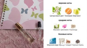 ИЗУЧАЕМ АРОМАТЫ НА ДАЧЕ. ЧАСТЬ 3