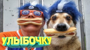 Я РЖАЛ ДО СЛЕЗ😂 10 МИНУТ ОТБОРНЫХ ПРИКОЛОВ 2025 ПОДБОРКА ПРИКОЛОВ №15