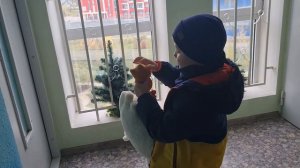 Растём вместе с Нильсом 6 лет часть 3