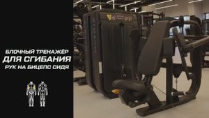 Блочный тренажёр для сгибания рук на бицепс сидя: что это такое и как пользоваться оборудованием?