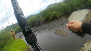 Долгожданный приезд , на горную рыбалку 🎣 2 часть