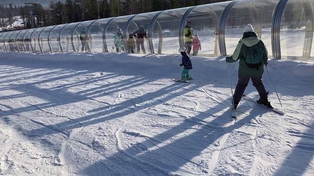 Шерегеш декабрь 2024 смотреть онлайн