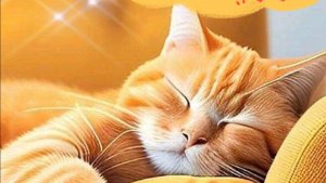 Открытка с добрым вечером хорошими пожеланиями 💥 НОВИНКА