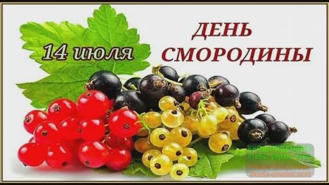 ЭТО МОЯ РОДИНА,ГДЕ ЦВЕТЁТ СМОРОДИНА!МУЗЫКАЛЬНОЕ ПОЗДРАВЛЕНИЕ