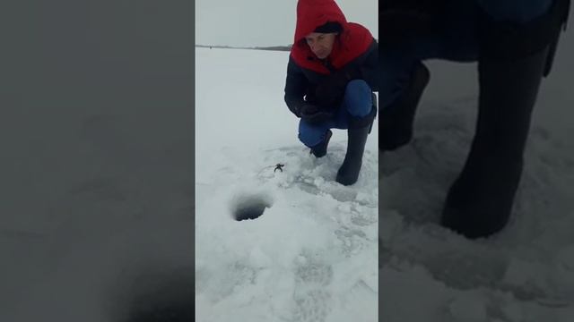 февраль.