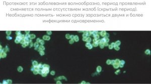 ИППП
