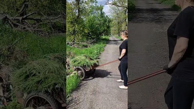 Похоже Мама адаптировалась, а я не могу хочу цивилизацию #жизньвселе#сельскаяжизнь#свойдом#мама