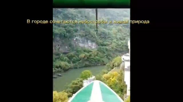 Рыковец Арина