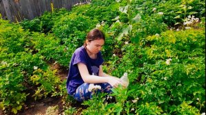 Сварила наваристый супчик  ...Вероника в огороде собирает жуков..Деревенская жизнь..
