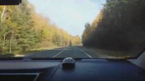 Золотая осень Шуйской стороны.