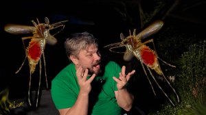 Подкаст ЕЧС и ЛВД 27 "Кровавый"