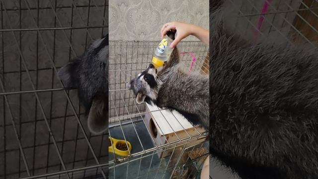 Минута слабости.mp4