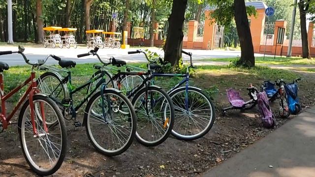 Лето в Лесопарке. День семьи любви и верности. Мы в центре Рязани.