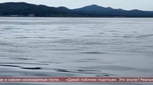 14.07.2025 Сахалинские блоги. БЛОГИ. АБОРИГЕН САХАЛИНА. Рыбалка в Охотском море, Сахалин