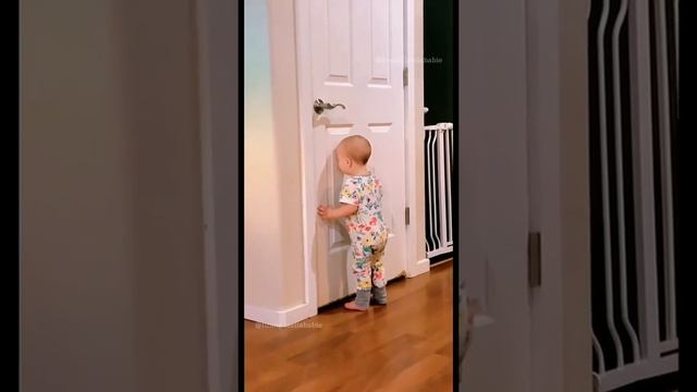 Животные приколы и не только
