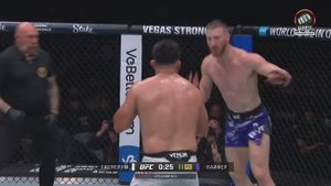 Джо Пайфер победил Келвина Гастелума (видео). UFC 316