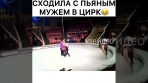 Чего только в цирке не увидишь