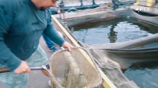 Страна Росатом 11.07.25