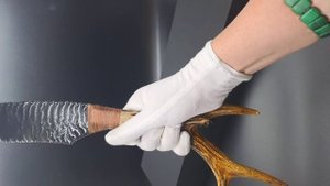 Нож обсидиановый с рукоятью из рога косули Тройной 44 см