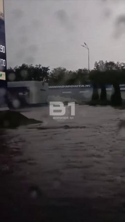 Ещё пол литра тонущего Воронежа. 😱