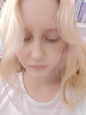 читаю книгу Сын полка часть 2