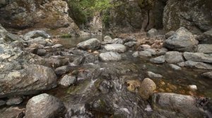 4K HDR Peaceful Stream - Relaxing River Sounds for Sleeping - ASMR - No Birds - Calming Water Flow