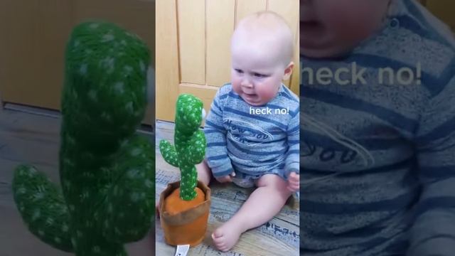 Животные приколы и не только