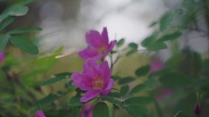 Делаем чисто, делаем заботливо