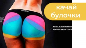 Споры о приседаниях