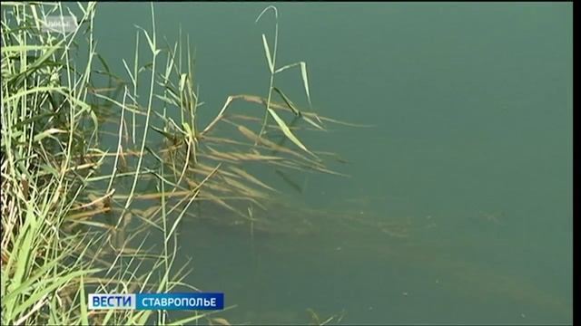 На Ставрополье минприроды выявила сотни бесхозных водных объектов