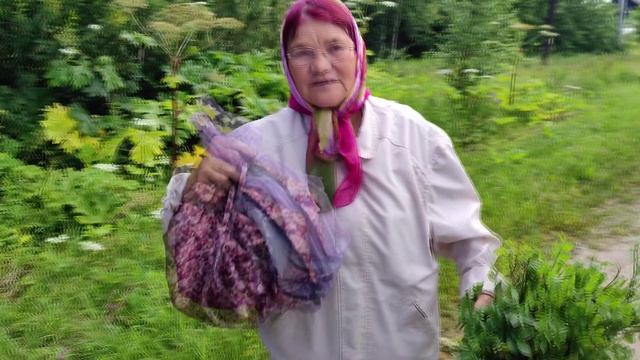 Жара в деревне, но работа идёт