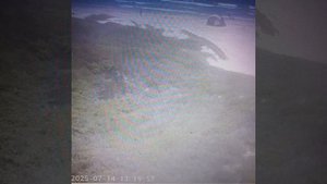 Американский залив