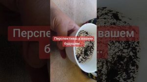 🥰💓💖89028257779💕🌹💗💗