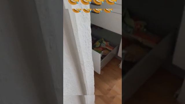 Животные приколы и не только