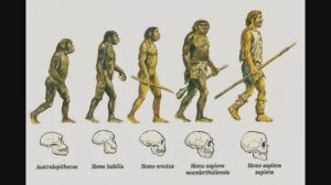 виды древних людей