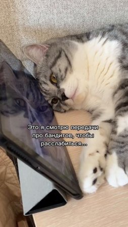 Что мне помогает заснуть