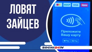 Контролёры Сочи выявили больше тысячи безбилетников среди 88 тысяч пассажиров