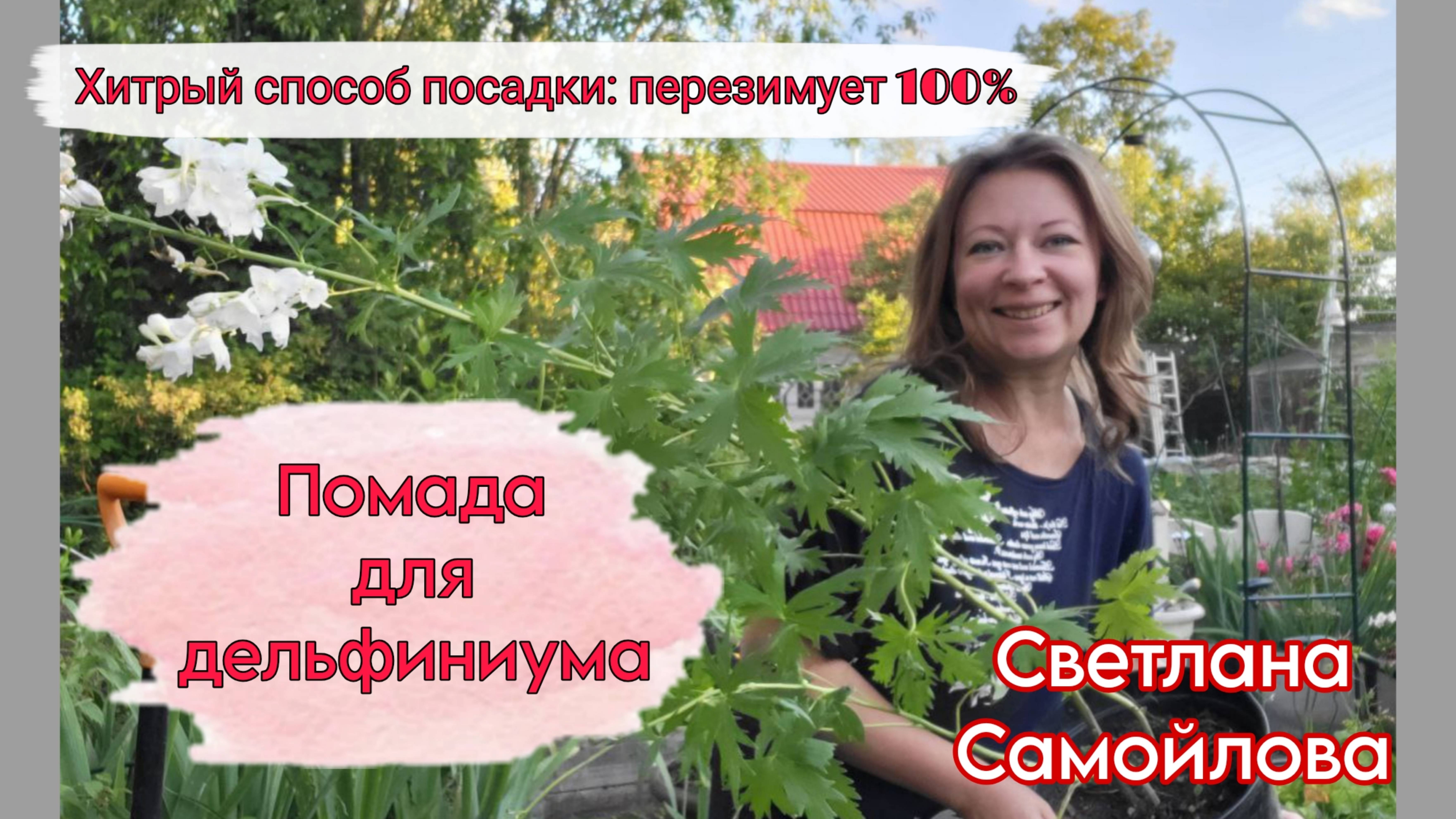 ПОМАДА ДЛЯ ДЕЛЬФИНИУМА. ХИТРЫЙ СПОСОБ ПОСАДКИ: ПЕРЕЗИМУЕТ 100 