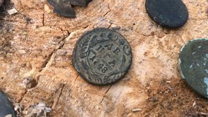 Хищный копатель и денга 1748 года