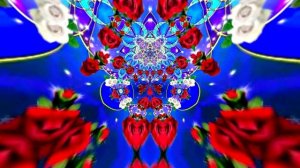 Футажи! Футаж Розы белые - Розы красные 4 от Киностудии Мудрого Кота Тимофея!