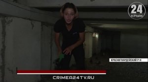 Жители многоэтажки в Красногвардейском два года вынуждены бороться с тараканами и голубями