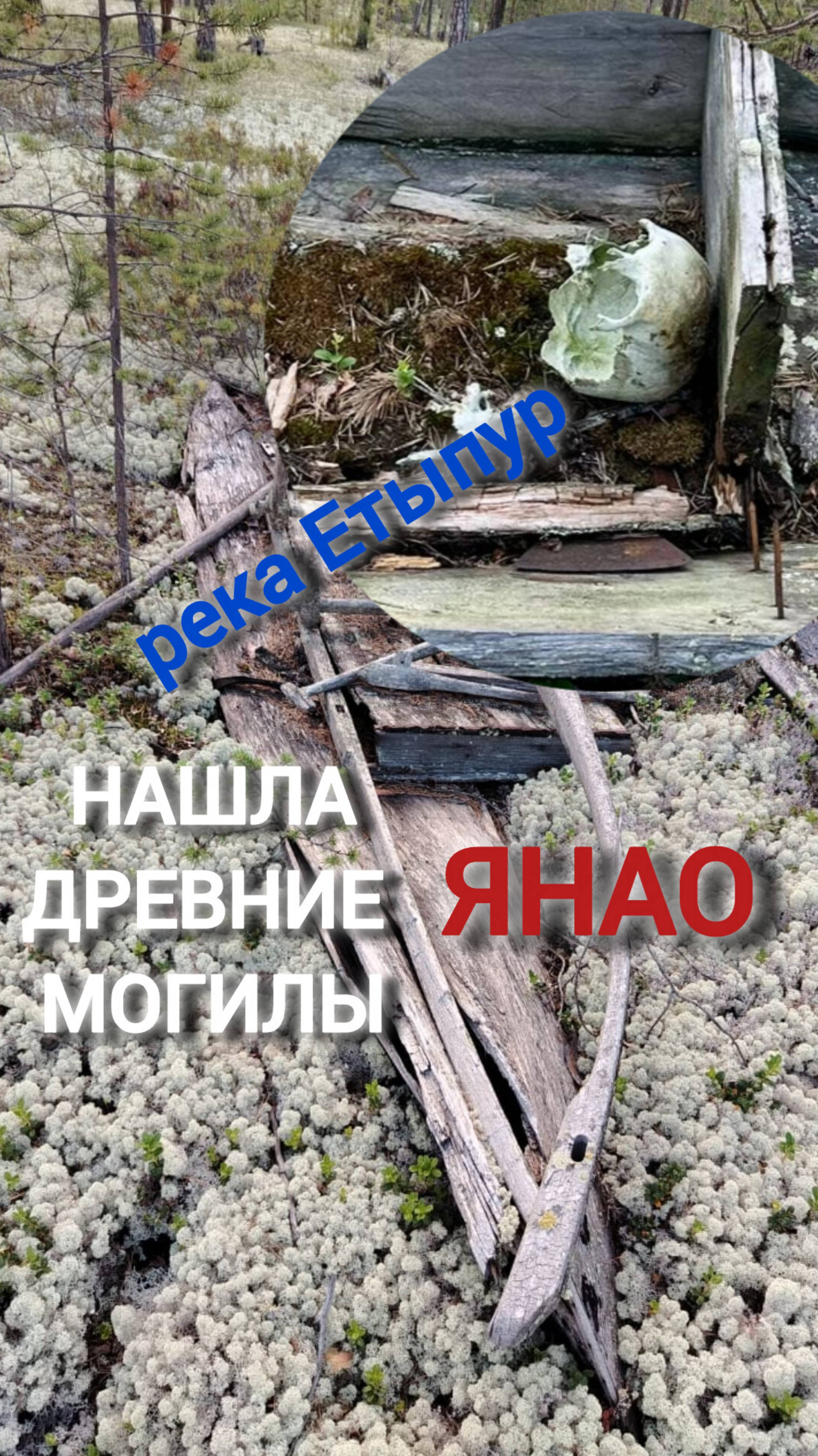 Нашла открытый гроб. Могилы. Захронения ненцев, ЯНАО, река Етыпур, лес. Им более 50 лет. смотреть онлайн